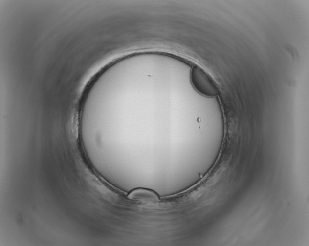 X0000112081510200908251053