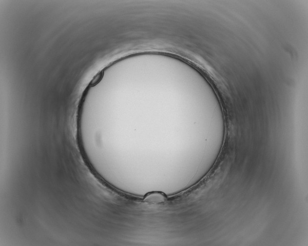 X0000112081512200908251053