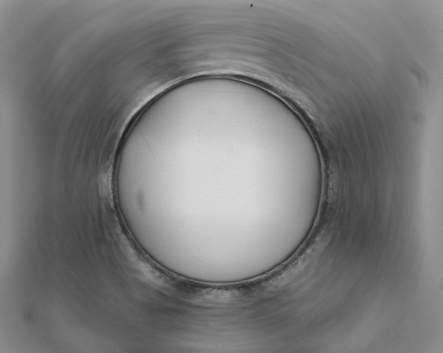 X0000112081513200908251053