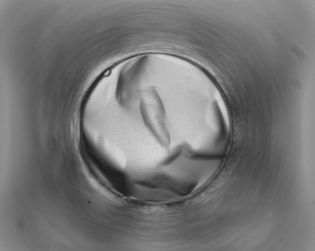 X0000112081515200908251053