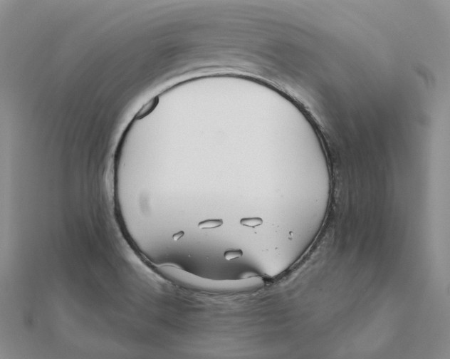 X0000112081516200908251053