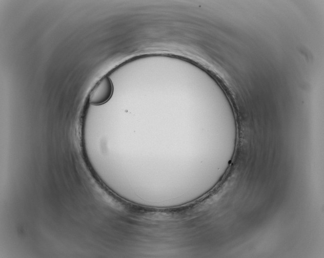 X0000112081517200908251053