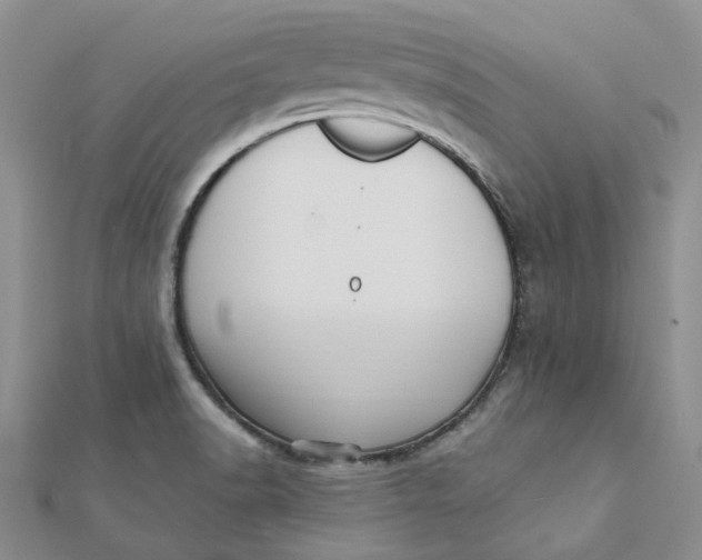 X0000112081518200908251053