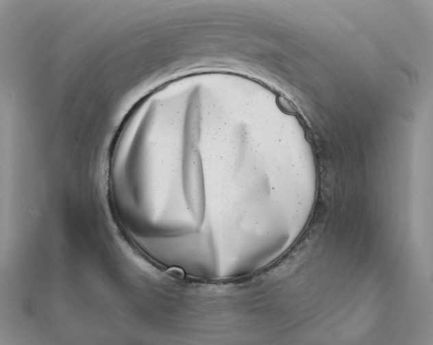 X0000112081519200908251053