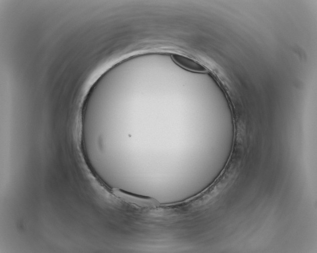 X0000112081520200908251053