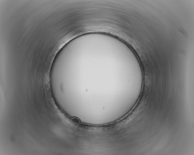 X0000112081521200908251053