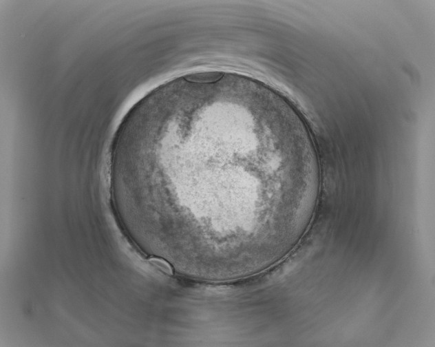 X0000112081522200908251053