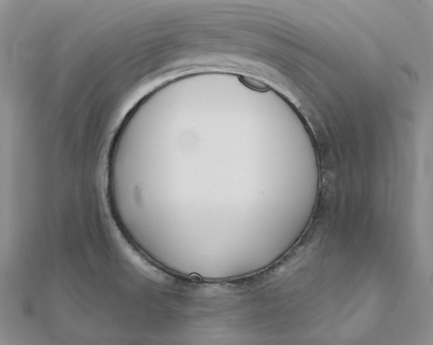 X0000112081523200908251053