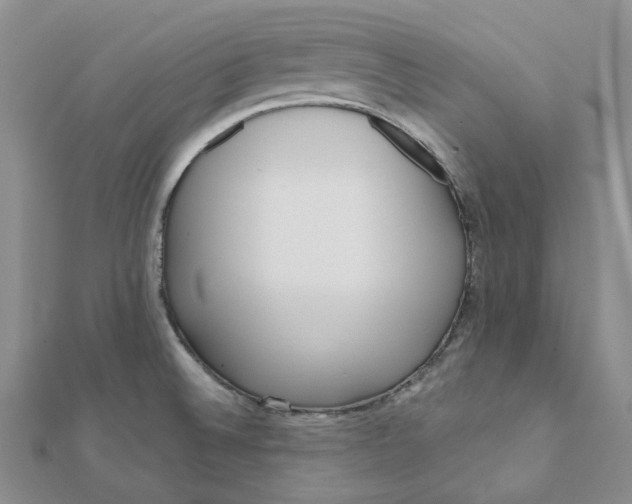 X0000112081524200908251053