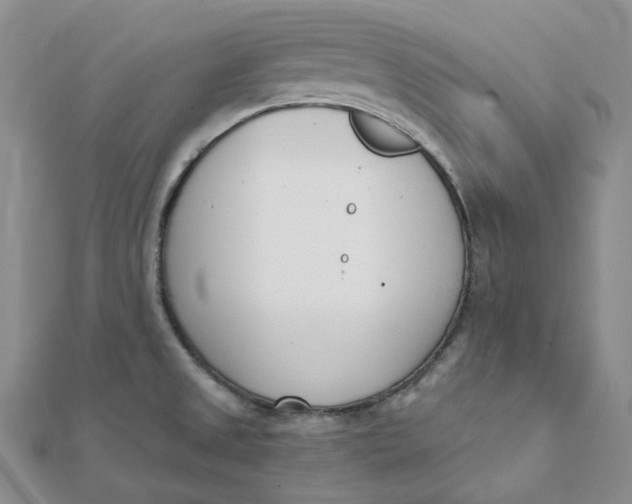 X0000112081525200908251053