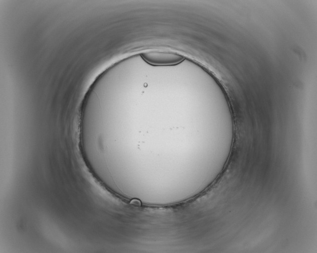 X0000112081526200908251053