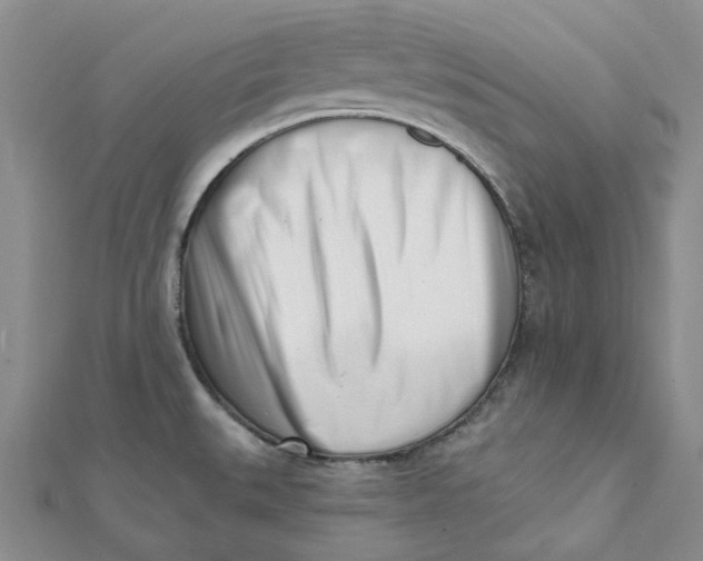 X0000112081527200908251053