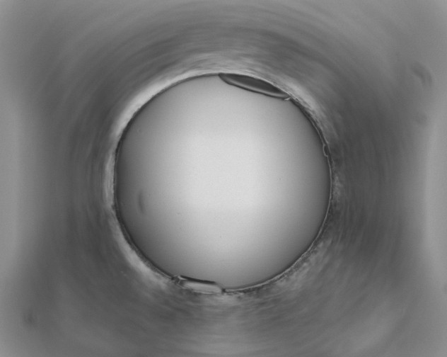 X0000112081528200908251053