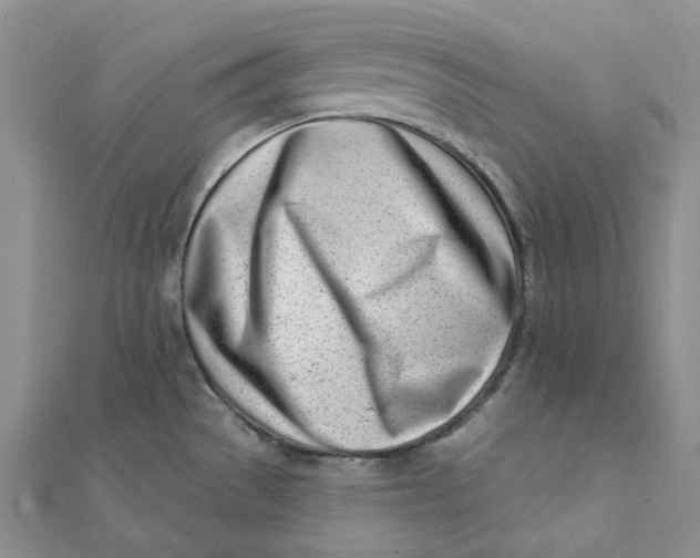 X0000112081529200908251053