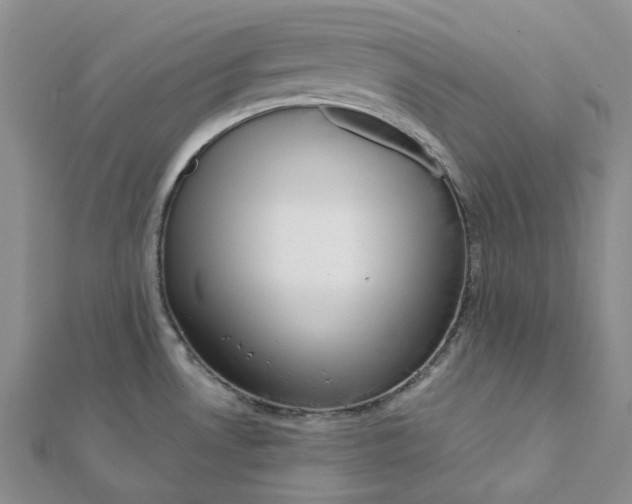 X0000112081530200908251053