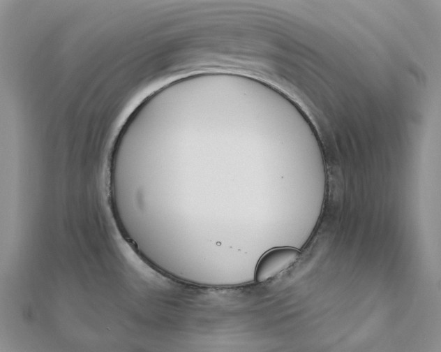 X0000112081531200908251053