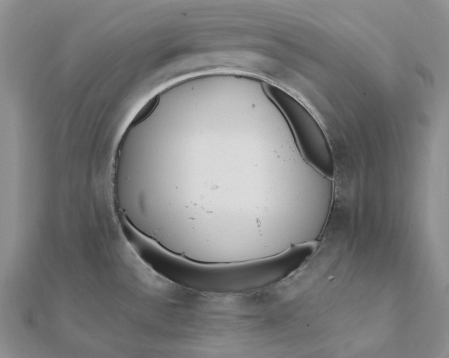 X0000112081532200908251053