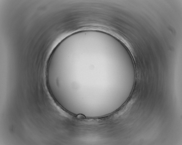 X0000112081533200908251053