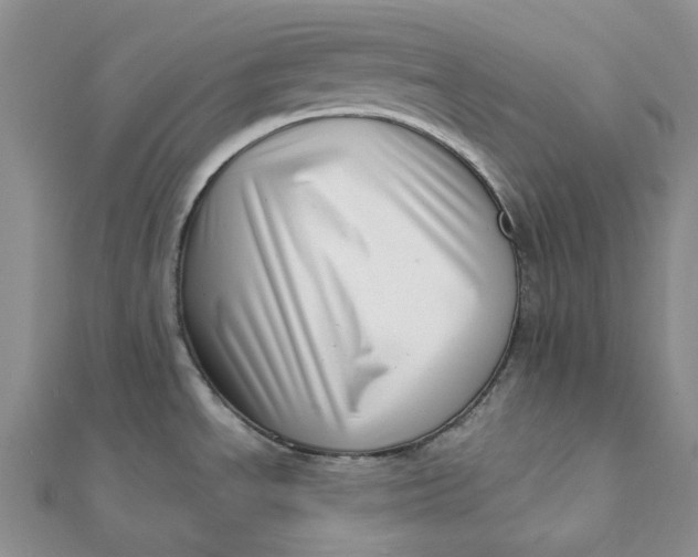 X0000112081534200908251053