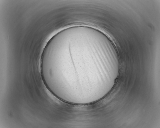 X0000112081535200908251053