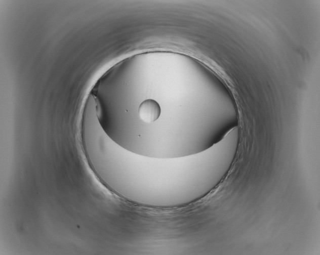 X0000112081536200908251053