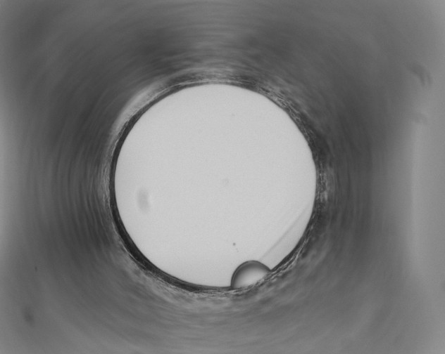X0000112080004200909011053