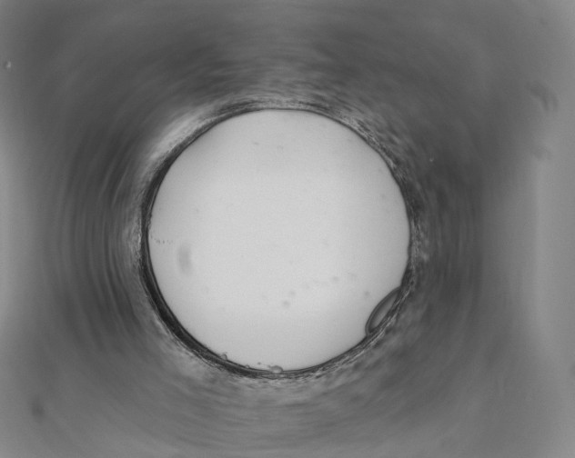 X0000112080005200909011053
