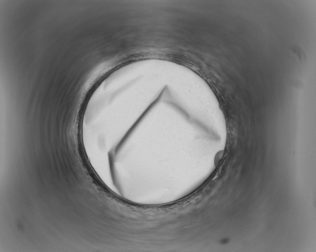 X0000112080006200909011053