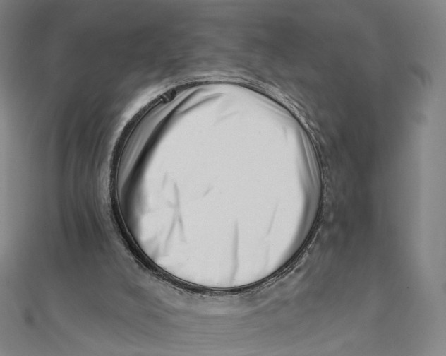 X0000112080008200909011053