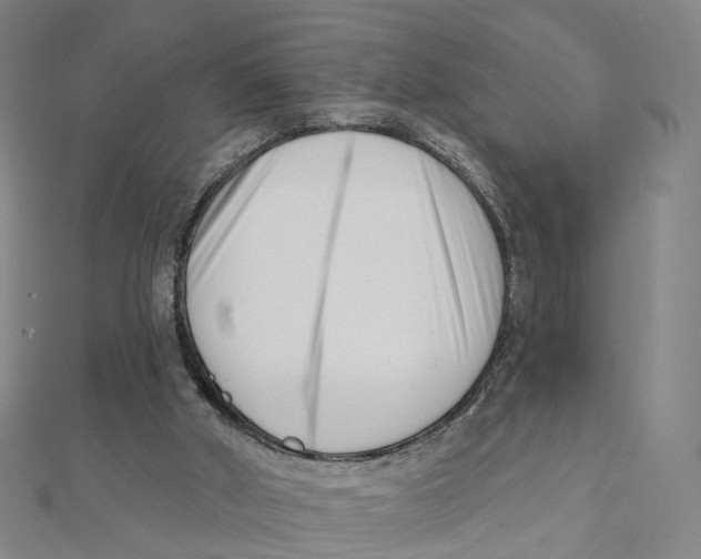 X0000112080010200909011053