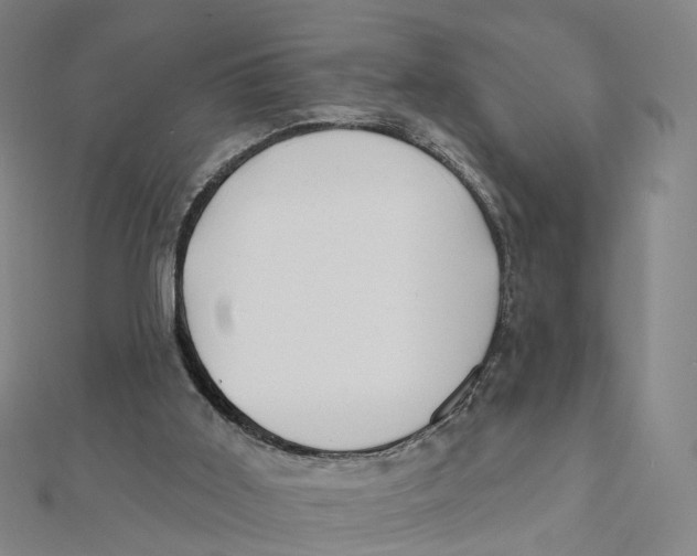 X0000112080011200909011053