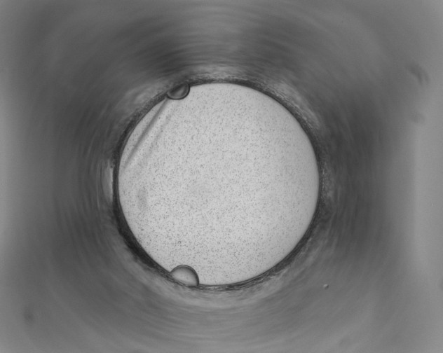 X0000112080014200909011053