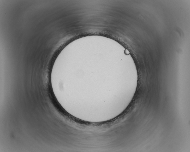 X0000112080016200909011053