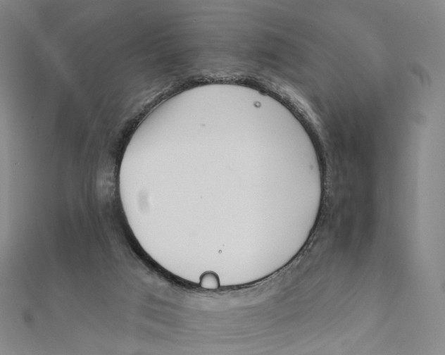 X0000112080017200909011053