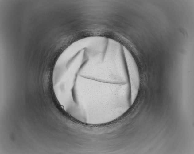 X0000112080018200909011053