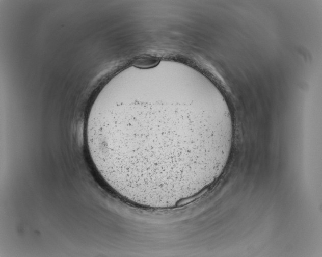 X0000112080019200909011053