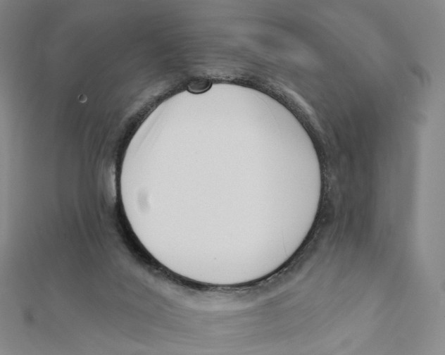 X0000112080020200909011053