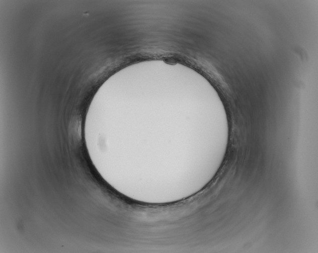 X0000112080021200909011053