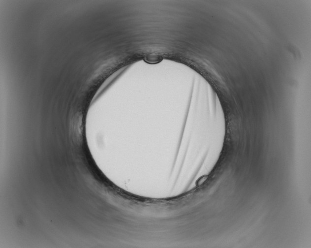 X0000112080024200909011053