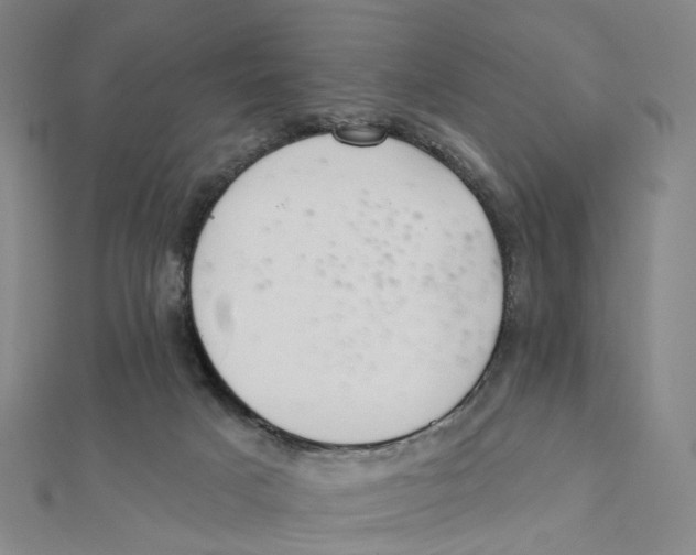 X0000112080025200909011053
