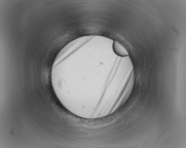 X0000112080026200909011053