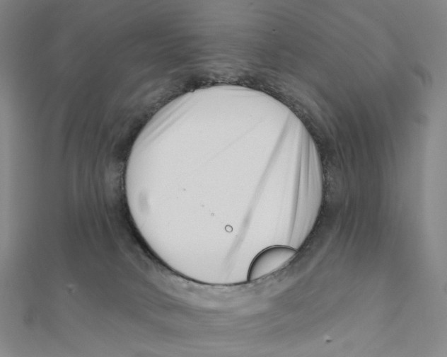 X0000112080034200909011053