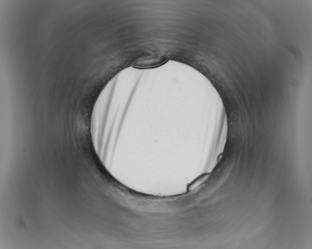 X0000112080040200909011053