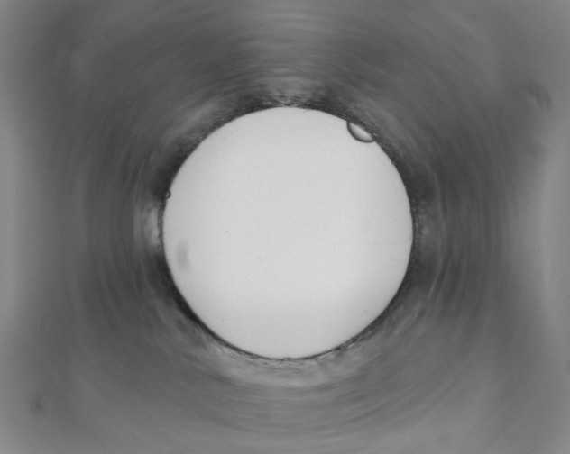 X0000112080042200909011053