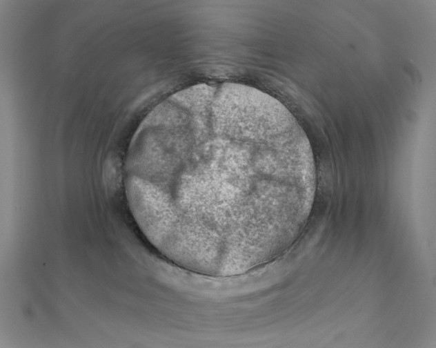 X0000112080043200909011053