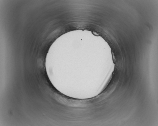 X0000112080044200909011053