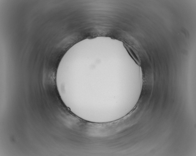 X0000112080045200909011053