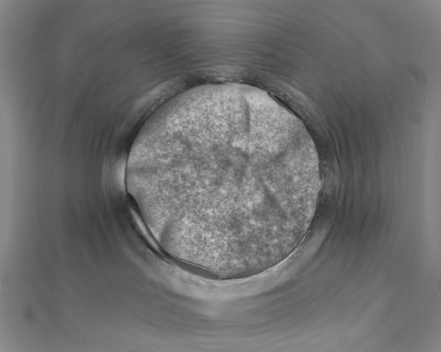X0000112080047200909011053