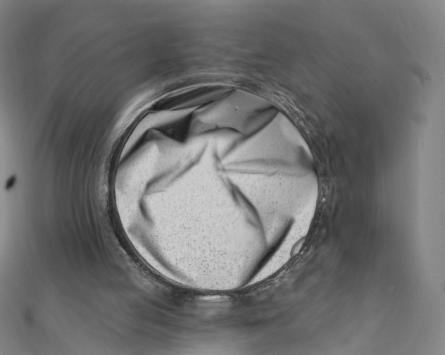 X0000112080053200909011052