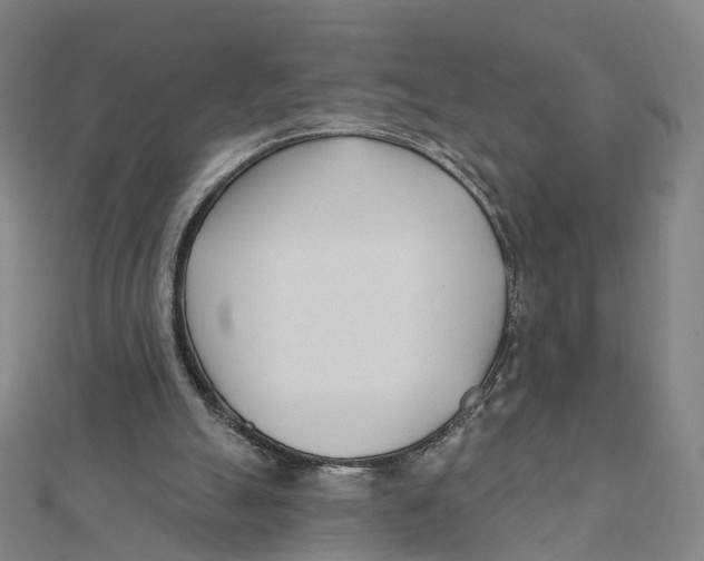 X0000112080055200909011052